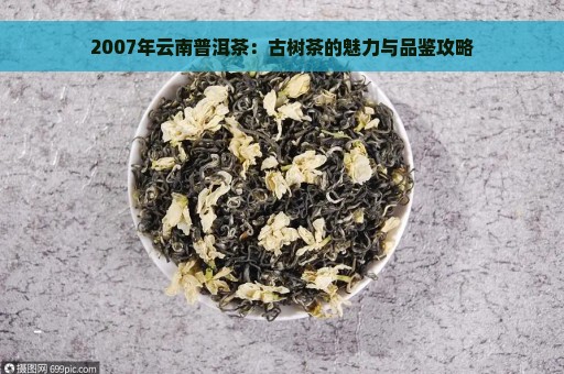 2007年云南普洱茶：古树茶的魅力与品鉴攻略