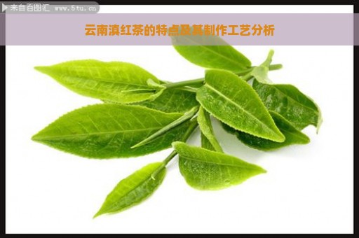 云南滇红茶的特点及其制作工艺分析