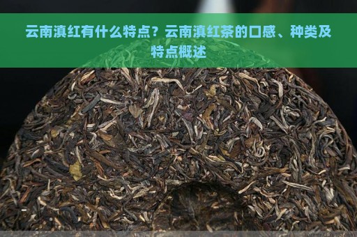 云南滇红有什么特点？云南滇红茶的口感、种类及特点概述