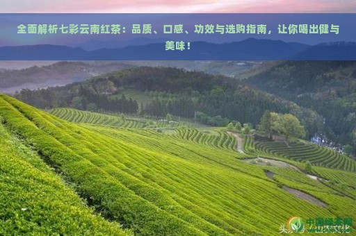 全面解析七彩云南红茶：品质、口感、功效与选购指南，让你喝出健与美味！