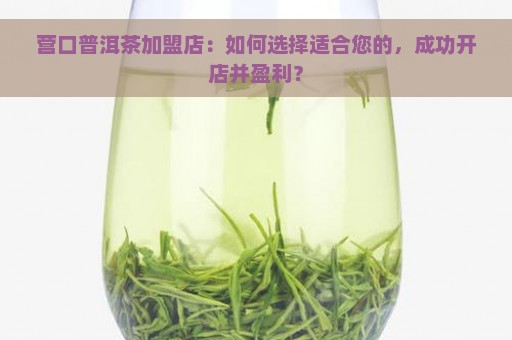 营口普洱茶加盟店：如何选择适合您的，成功开店并盈利？