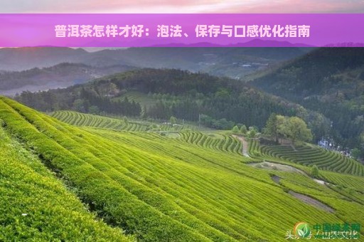 普洱茶怎样才好：泡法、保存与口感优化指南