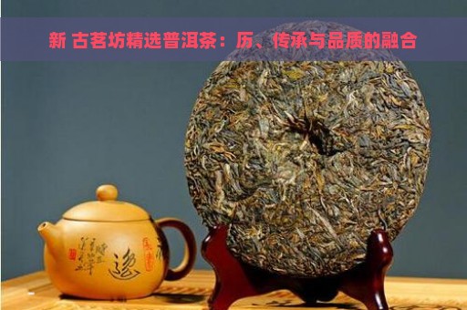 新 古茗坊精选普洱茶：历、传承与品质的融合