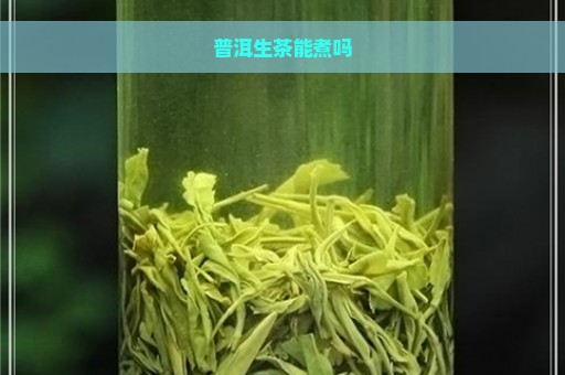 普洱生茶能煮吗