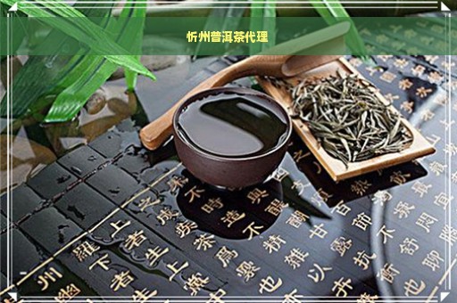 忻州普洱茶代理