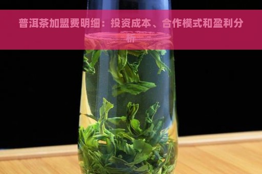 普洱茶加盟费明细：投资成本、合作模式和盈利分析