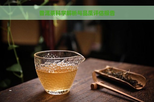 普洱茶科学解析与品质评估报告