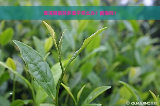 普洱熟茶好多渣子怎么办？能喝吗？