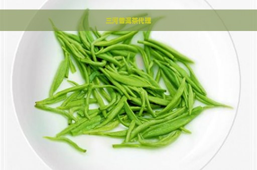 三河普洱茶代理