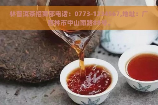 林普洱茶招商部电话：0773-1234567,地址：广西林市中山南路88号。