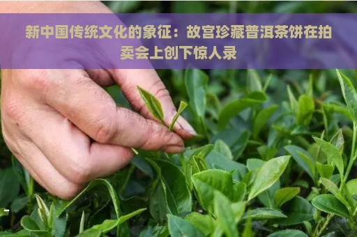 新中国传统文化的象征：故宫珍藏普洱茶饼在拍卖会上创下惊人录