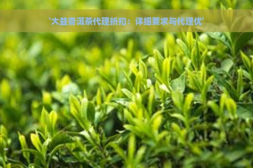 '大益普洱茶代理折扣：详细要求与代理优'