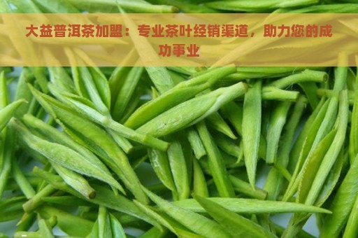 大益普洱茶加盟：专业茶叶经销渠道，助力您的成功事业