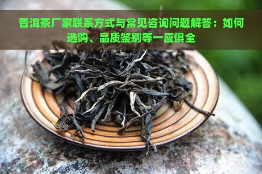 普洱茶厂家联系方式与常见咨询问题解答：如何选购、品质鉴别等一应俱全