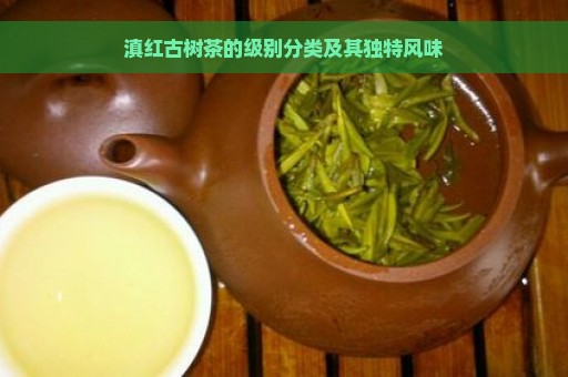 滇红古树茶的级别分类及其独特风味