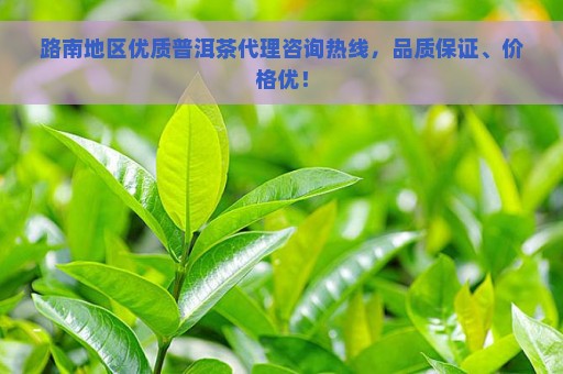 路南地区优质普洱茶代理咨询热线，品质保证、价格优！