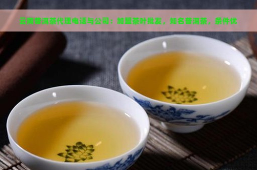 云南普洱茶代理电话与公司：加盟茶叶批发，知名普洱茶，条件优