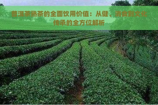 普洱茶熟茶的全面饮用价值：从健、消食到文化传承的全方位解析