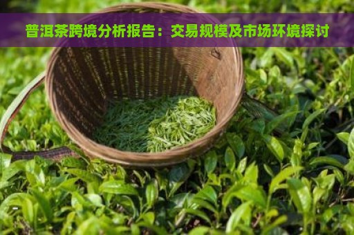 普洱茶跨境分析报告：交易规模及市场环境探讨