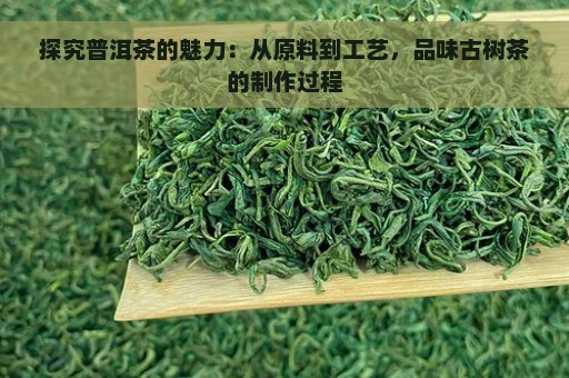 探究普洱茶的魅力：从原料到工艺，品味古树茶的制作过程