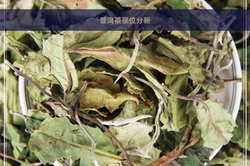 普洱茶展位分析