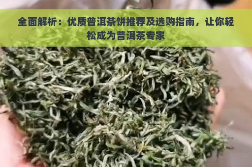 全面解析：优质普洱茶饼推荐及选购指南，让你轻松成为普洱茶专家