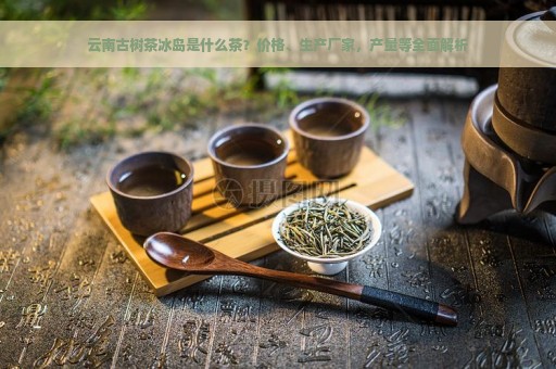 云南古树茶冰岛是什么茶？价格、生产厂家，产量等全面解析