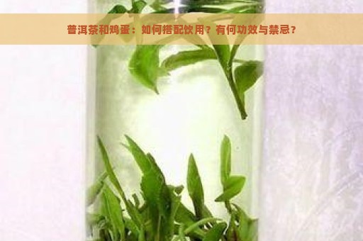 普洱茶和鸡蛋：如何搭配饮用？有何功效与禁忌？