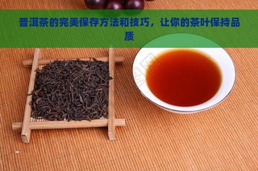 普洱茶的完美保存方法和技巧，让你的茶叶保持品质