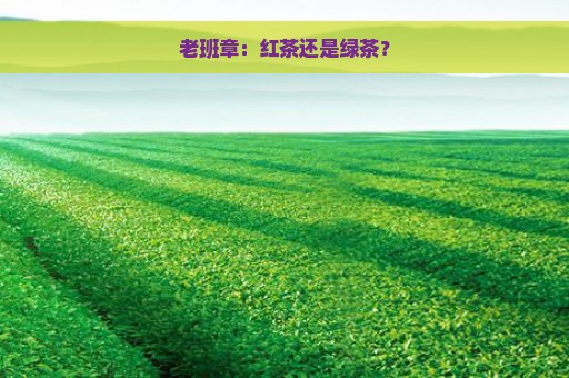 老班章：红茶还是绿茶？