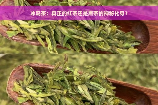 冰岛茶：真正的红茶还是黑茶的神秘化身？