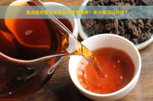 普洱茶代理加盟费及月费用解析：多少钱可以开始？