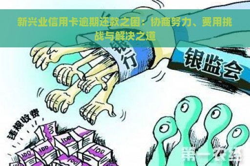 新兴业信用卡逾期还款之困：协商努力、费用挑战与解决之道