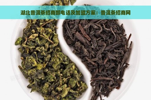 湖北普洱茶招商部电话及加盟方案：普洱茶招商网