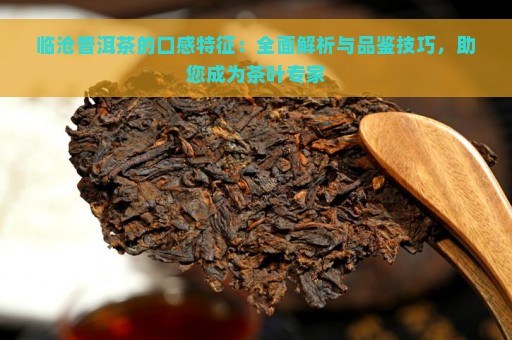 临沧普洱茶的口感特征：全面解析与品鉴技巧，助您成为茶叶专家