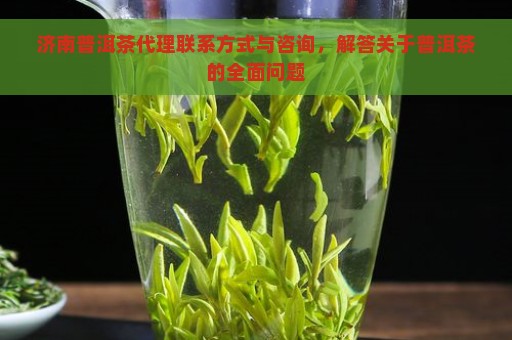 济南普洱茶代理联系方式与咨询，解答关于普洱茶的全面问题