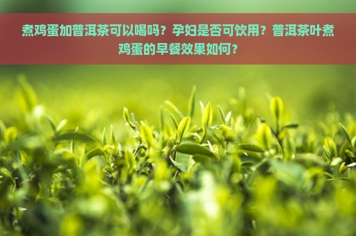 煮鸡蛋加普洱茶可以喝吗？孕妇是否可饮用？普洱茶叶煮鸡蛋的早餐效果如何？