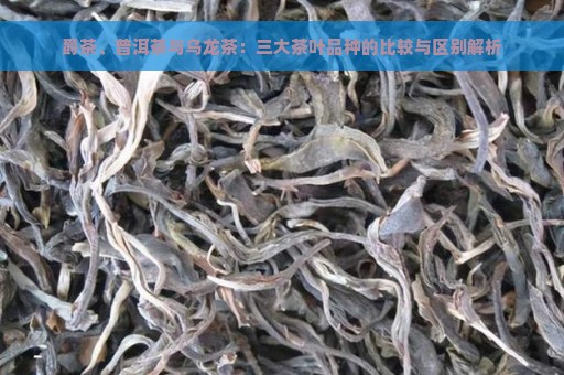 爵茶、普洱茶与乌龙茶：三大茶叶品种的比较与区别解析