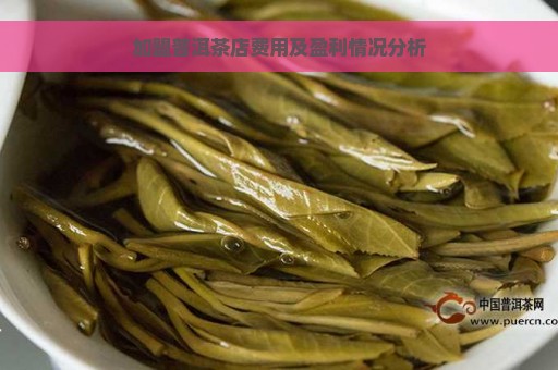 加盟普洱茶店费用及盈利情况分析