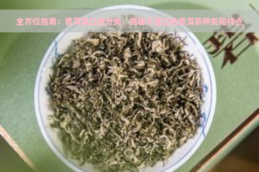 全方位指南：普洱茶口感分类，揭秘不涩口的普洱茶种类和特点