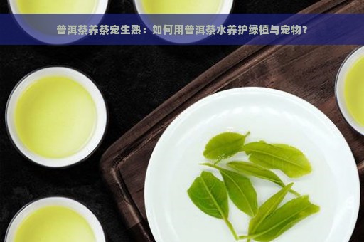 普洱茶养茶宠生熟：如何用普洱茶水养护绿植与宠物？