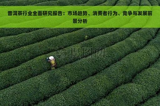 普洱茶行业全面研究报告：市场趋势、消费者行为、竞争与发展前景分析