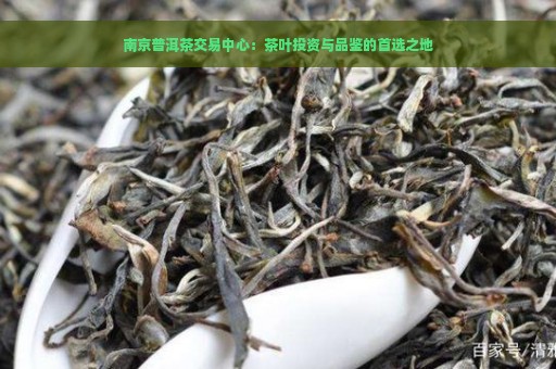 南京普洱茶交易中心：茶叶投资与品鉴的首选之地