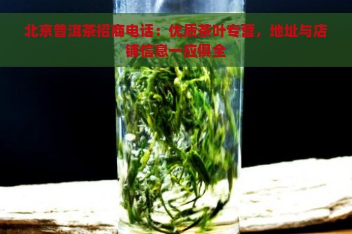 北京普洱茶招商电话：优质茶叶专营，地址与店铺信息一应俱全