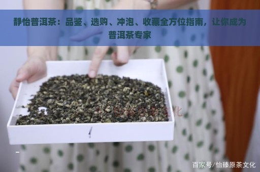 静怡普洱茶：品鉴、选购、冲泡、收藏全方位指南，让你成为普洱茶专家