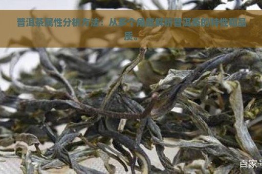 普洱茶属性分析方法：从多个角度解析普洱茶的特性和品质。