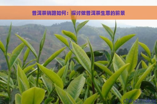 普洱茶销路如何：探讨做普洱茶生意的前景