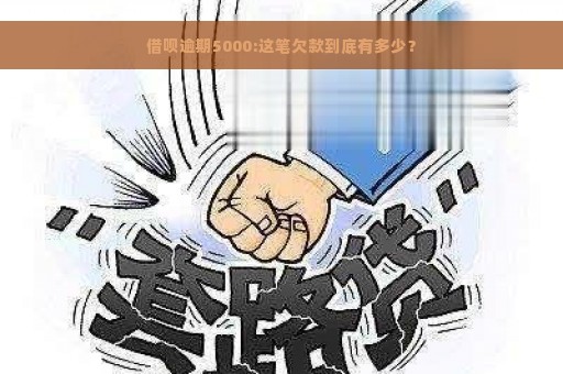 借呗逾期5000:这笔欠款到底有多少？