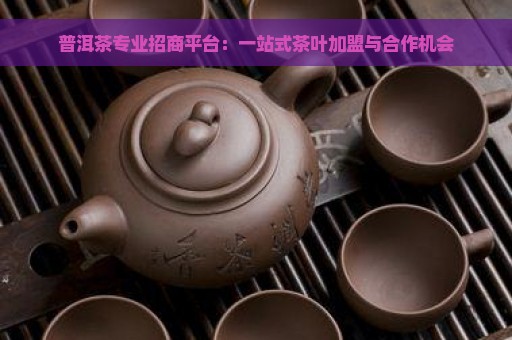 普洱茶专业招商平台：一站式茶叶加盟与合作机会