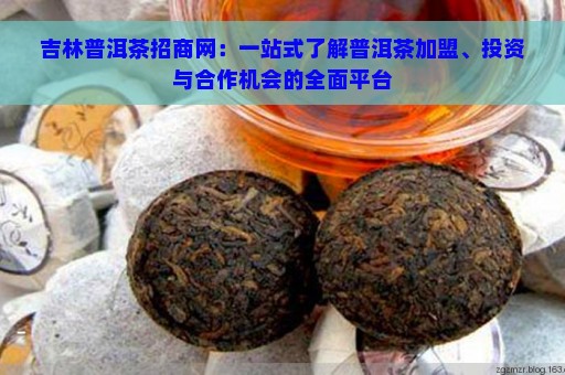 吉林普洱茶招商网：一站式了解普洱茶加盟、投资与合作机会的全面平台